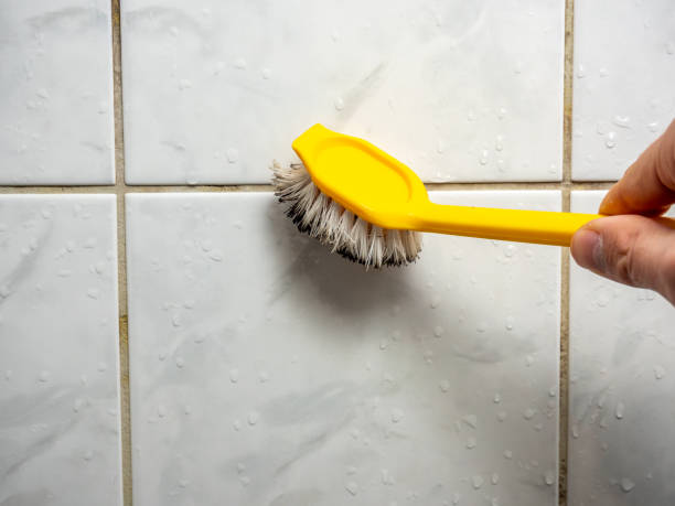 Best Attic Mold Removal  in River Oaks, TX