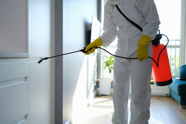Best Residential Mold Removal  in River Oaks, TX