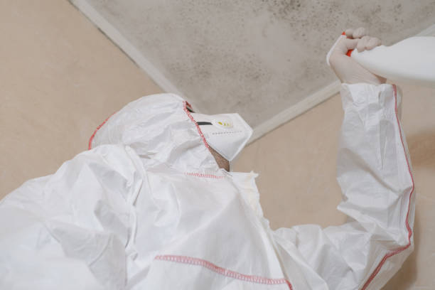 Best Certified Mold Removal  in River Oaks, TX